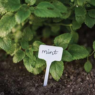 Etichetă pentru plante 15x5,5cm, alb, 10 buc.