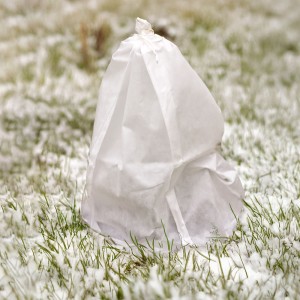 Husă de protecție pentru plante iarna Bradas, 0,6 × 10 m, 50 g/m², albă