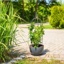 Suport pentru plante tip obelisc, formă arcuită, 80 cm