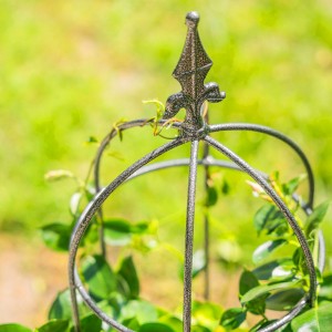 Suport pentru plante tip obelisc, formă arcuită, 100 cm