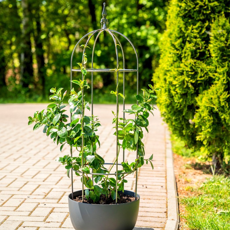 Suport pentru plante tip obelisc, formă arcuită, 100 cm