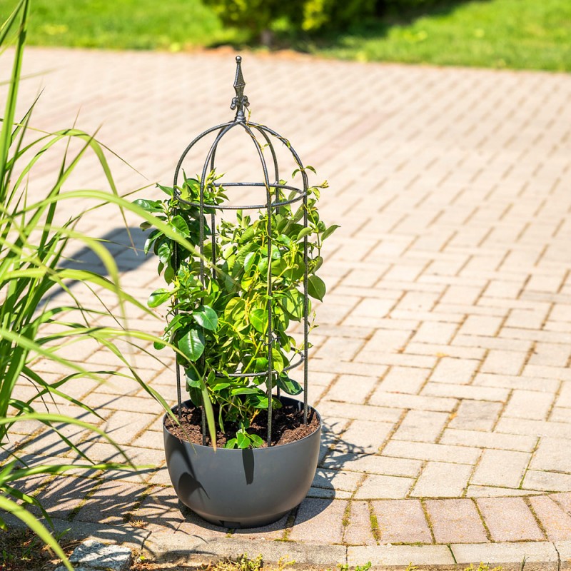 Suport pentru plante tip obelisc, formă arcuită, 100 cm