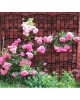 Pergola de grădină Antico, suport decorativ pentru plante cățărătoare, 4 buc.