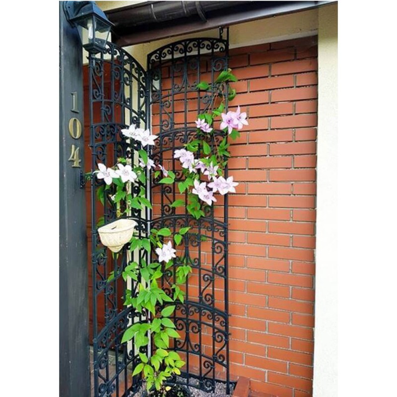 Pergola de grădină Antico, suport decorativ pentru plante cățărătoare, 4 buc.