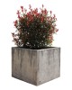Jardinieră beton Urbano XXL, pătrată, 75x75x70 cm