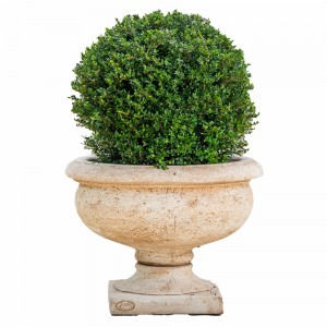 Jardinieră beton Monarchia, 69x51 cm