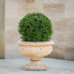 Jardinieră beton Monarchia, 69x51 cm