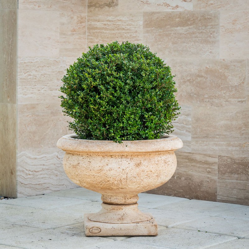 Jardinieră beton Monarchia, 69x51 cm
