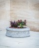 Jardinieră beton Monarchia, exterior, 65x39x25 cm