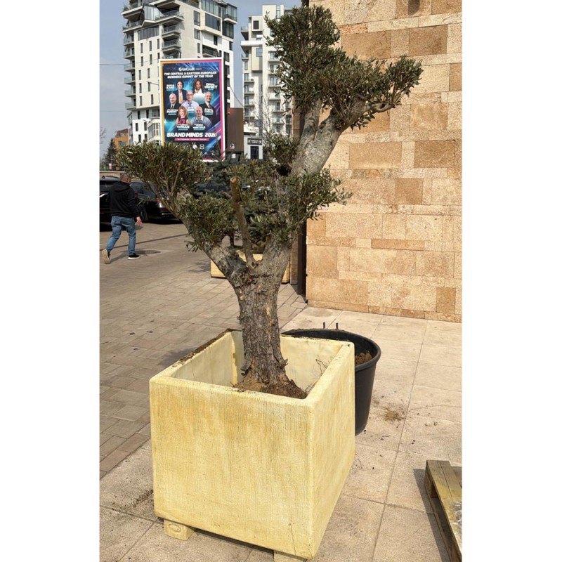 Jardinieră beton Urbano XXL, pătrată, 75x75x70 cm