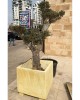 Jardinieră beton Urbano XXL, pătrată, 75x75x70 cm