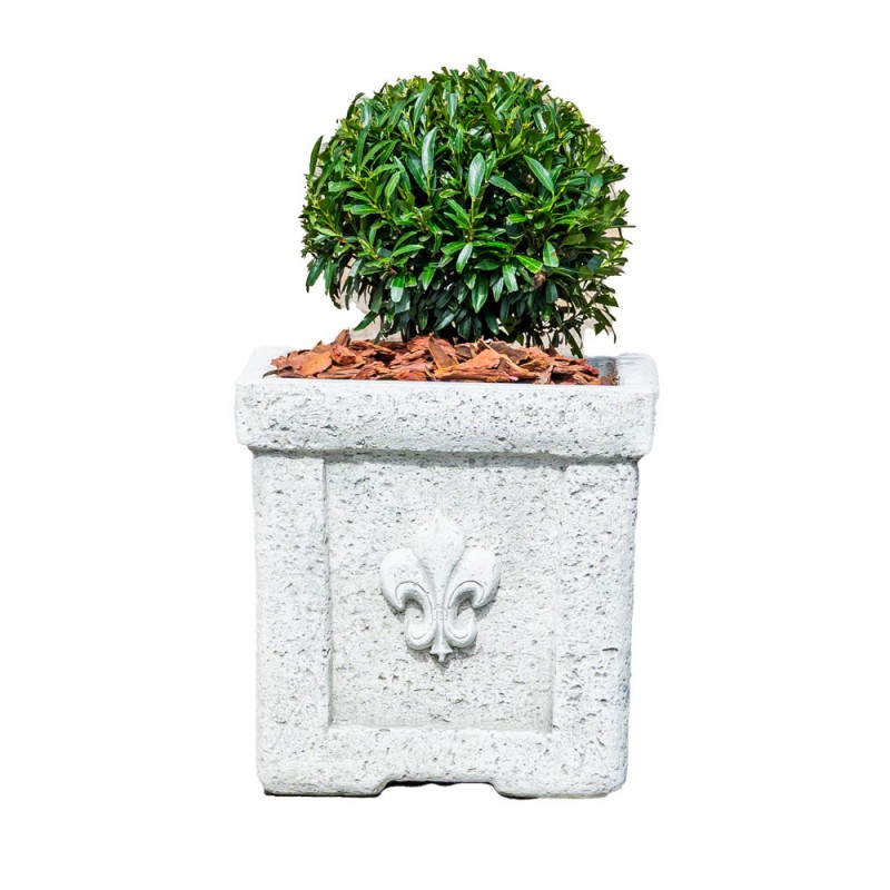 Jardinieră beton Florența 50
