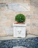 Jardinieră beton Florența 50