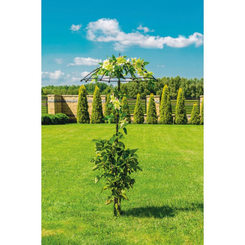 Suport metalic pentru plante cățărătoare, formă de umbrelă